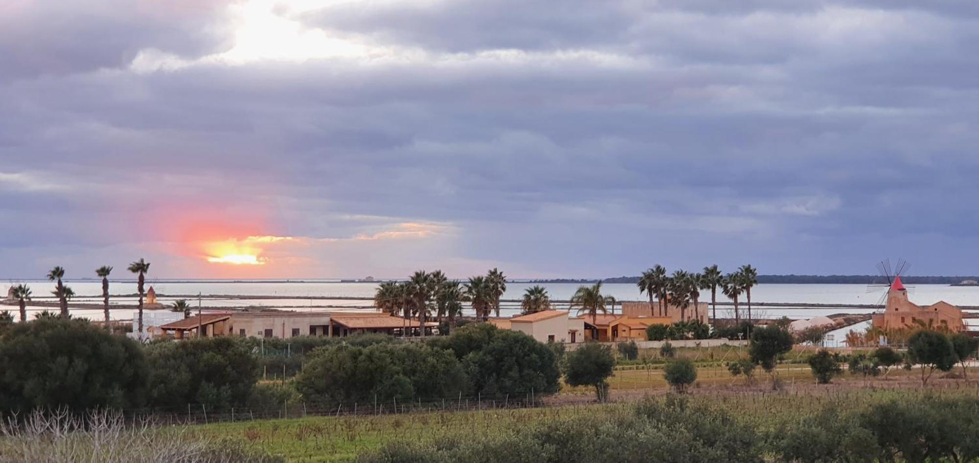 Martina'S Vineyard - Villa مارسالا المظهر الخارجي الصورة