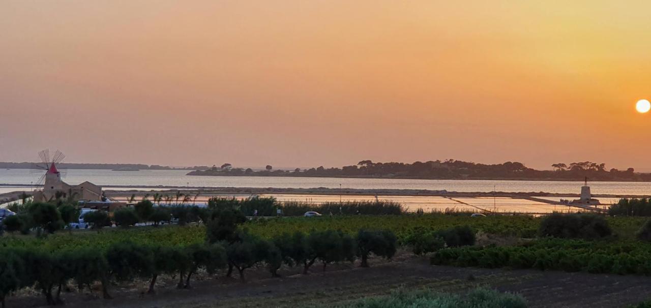 Martina'S Vineyard - Villa مارسالا المظهر الخارجي الصورة