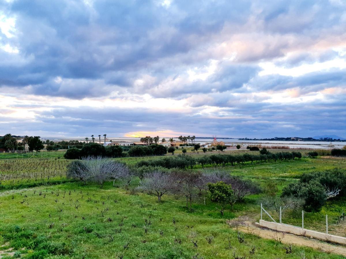 Martina'S Vineyard - Villa مارسالا المظهر الخارجي الصورة