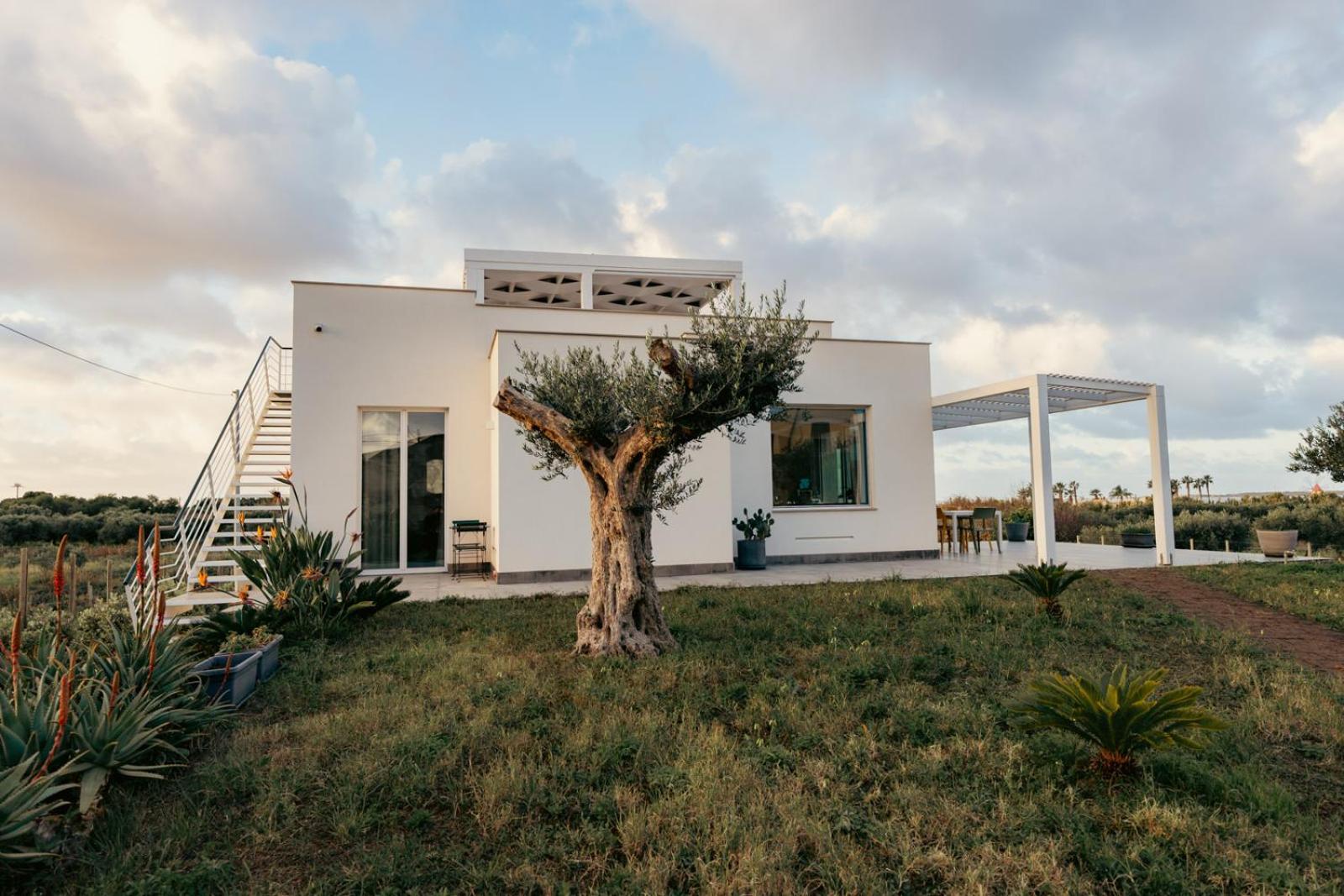 Martina'S Vineyard - Villa مارسالا المظهر الخارجي الصورة