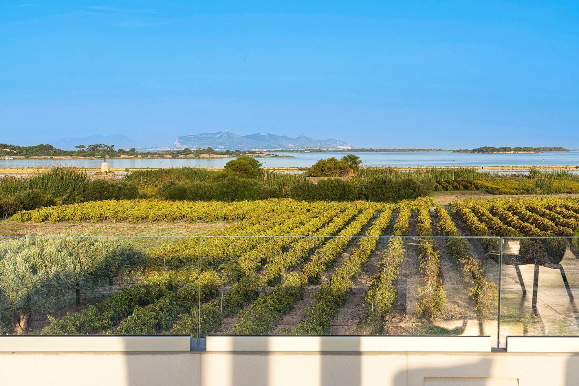 Martina'S Vineyard - Villa مارسالا المظهر الخارجي الصورة